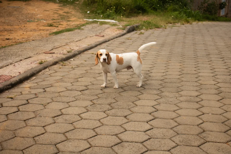 viagemcapixaba-4.webp